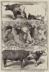 Smithfield Club Cattle Show, 1859